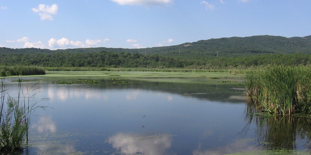 Imagini cu Rezervația naturală Ropotamo din Bulgaria 1