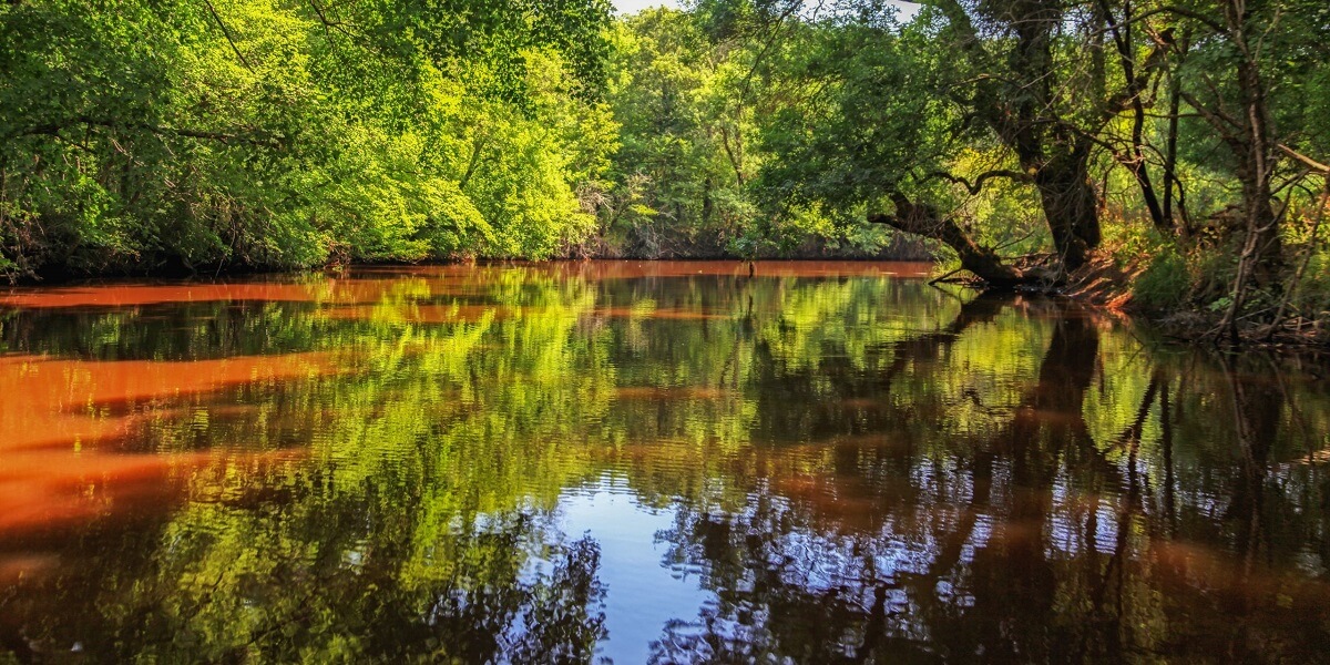 Imagini cu Rezervația naturală Ropotamo din Bulgaria 4