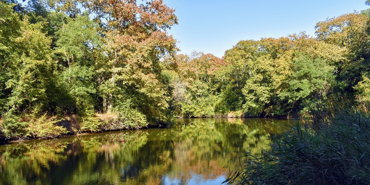 Imagini cu Rezervația naturală Ropotamo din Bulgaria 5