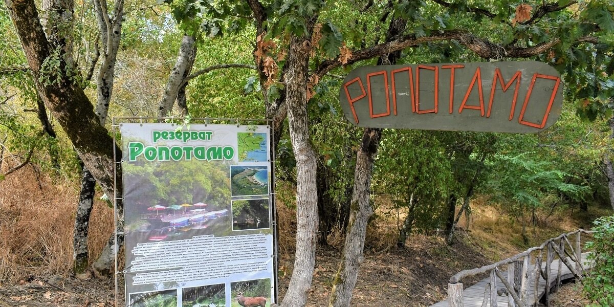 Imagini cu Rezervația naturală Ropotamo din Bulgaria 6