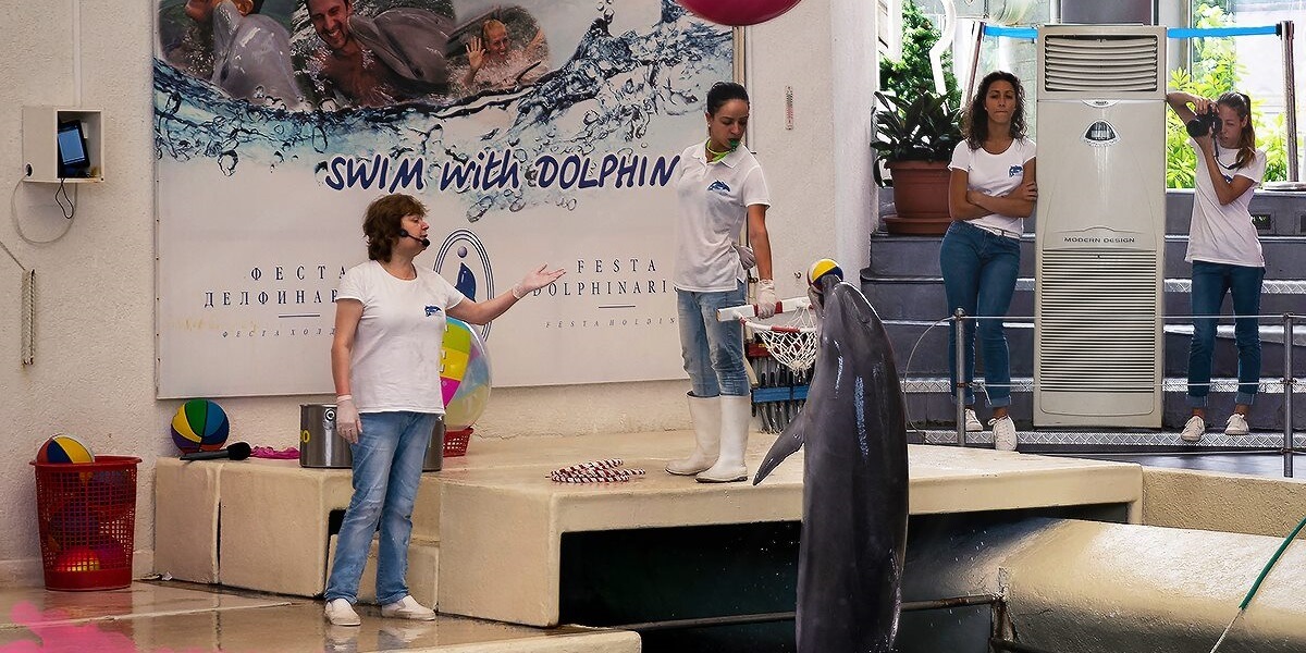 Imagini cu delfinariul din Varna, Bulgaria 14