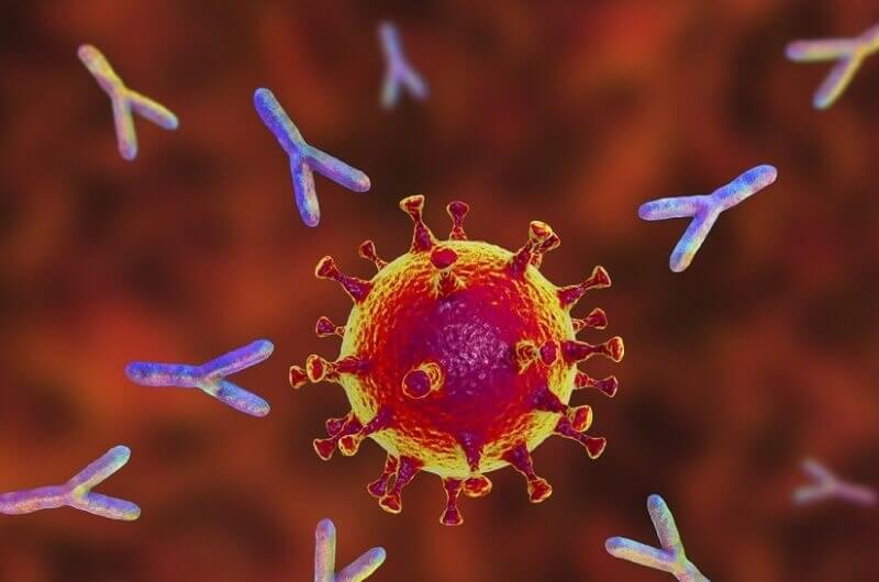 Condiții intrare în Bulgaria - pandemia Covid 19 Condiții intrare în Bulgaria - pandemia Covid 19